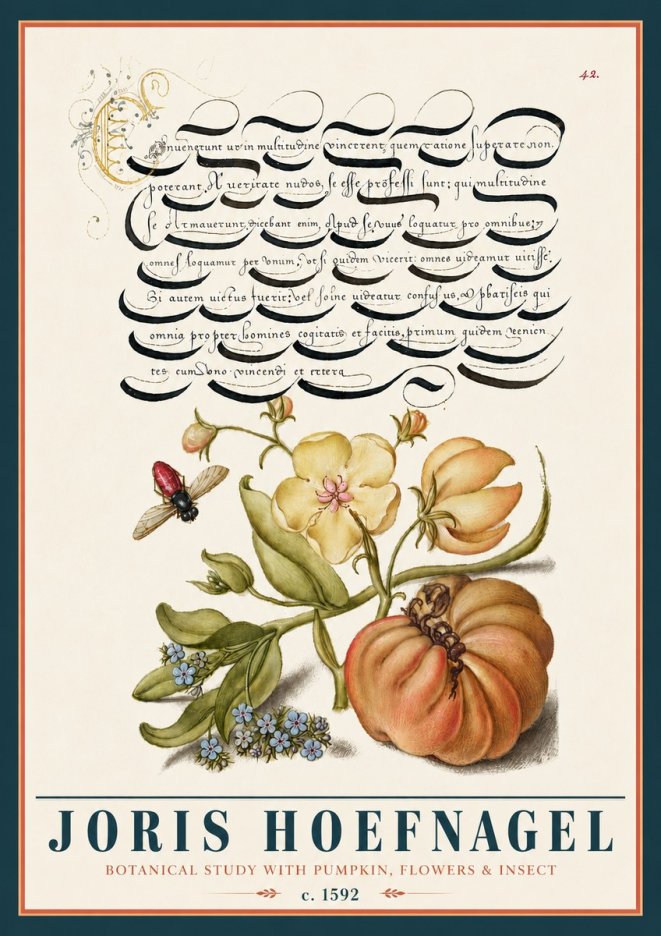 Joris Hoefnagel Botanical Study with Pumpkin, Flowers & Insect No5 - Póster