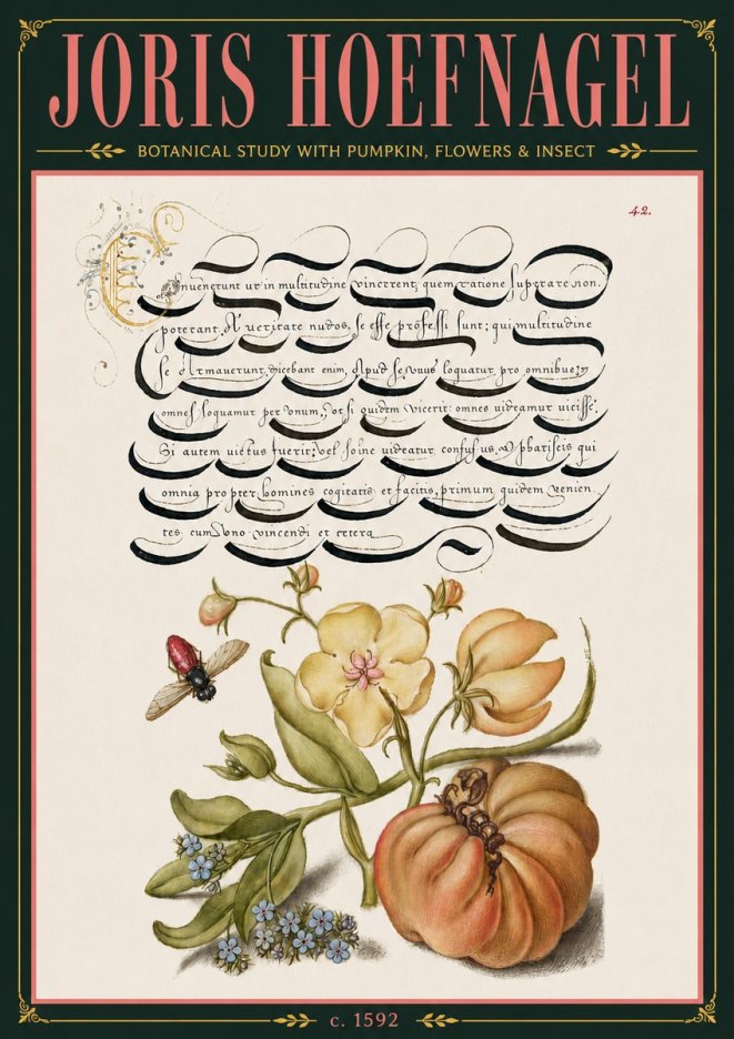 Joris Hoefnagel Botanical Study with Pumpkin, Flowers & Insect No6 - Póster