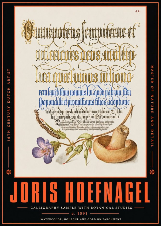 Joris Hoefnagel From a Series of Calligraphy Samples No4 - Póster