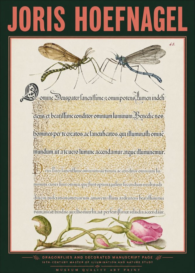 Joris Hoefnagel Dragonflies and Decorated Manuscript Page No3 - Póster