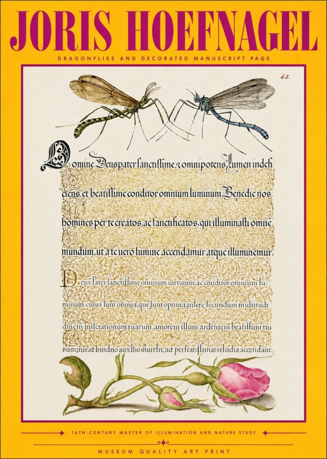 Joris Hoefnagel Dragonflies and Decorated Manuscript Page No4 - Póster