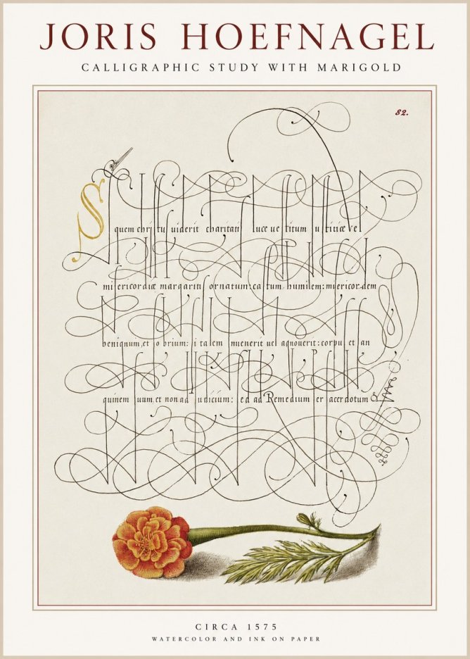 Joris Hoefnagel Calligraphic Study with Marigold No1 - Póster