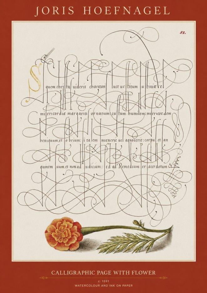 Joris Hoefnagel Calligraphic Study with Marigold No2 - Póster