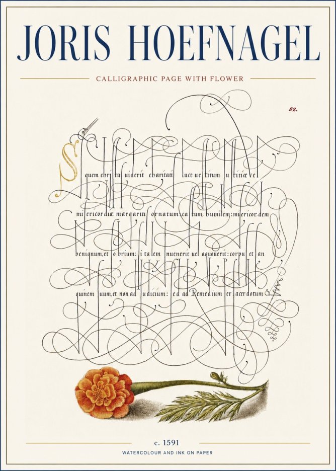 Joris Hoefnagel Calligraphic Study with Marigold No4 - Póster