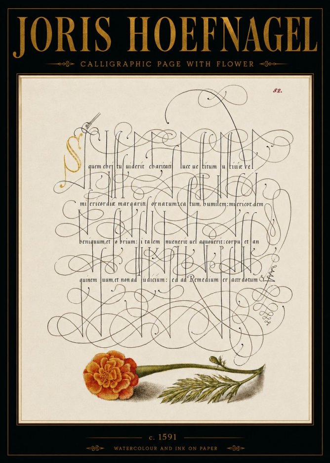 Joris Hoefnagel Calligraphic Study with Marigold No6 - Póster