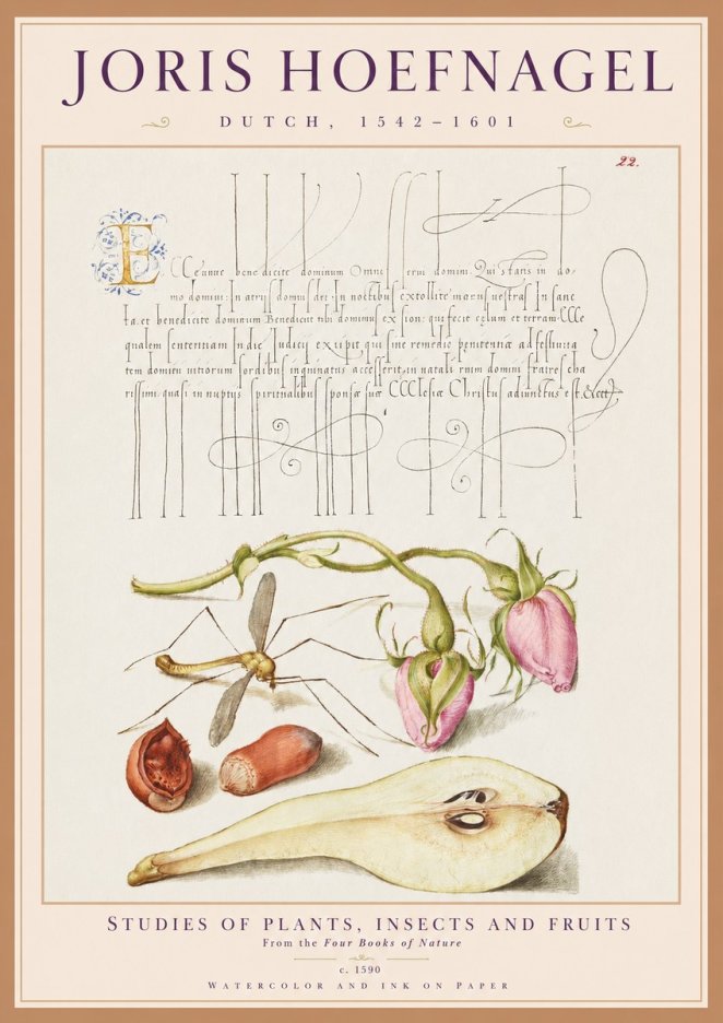 Joris Hoefnagel Studies of Plants, Insects and Fruits No1 - Póster