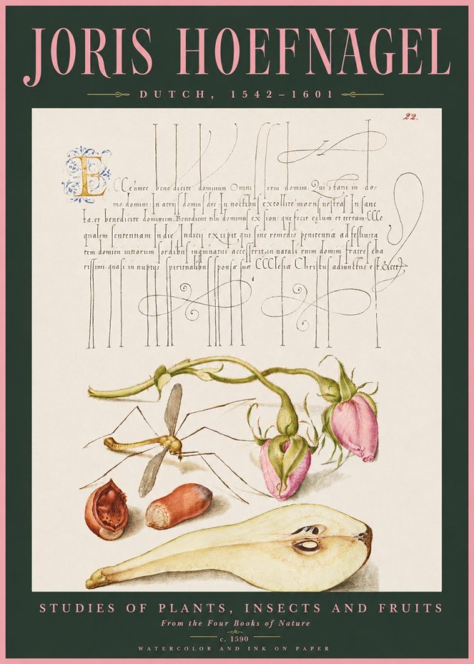 Joris Hoefnagel Studies of Plants, Insects and Fruits No2 - Póster