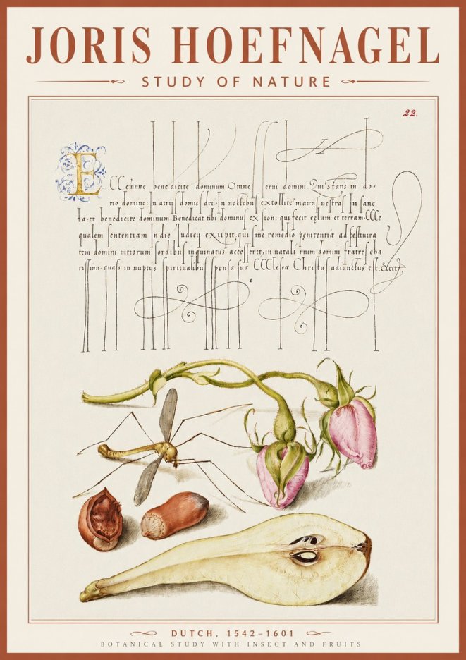 Joris Hoefnagel Studies of Plants, Insects and Fruits No5 - Póster