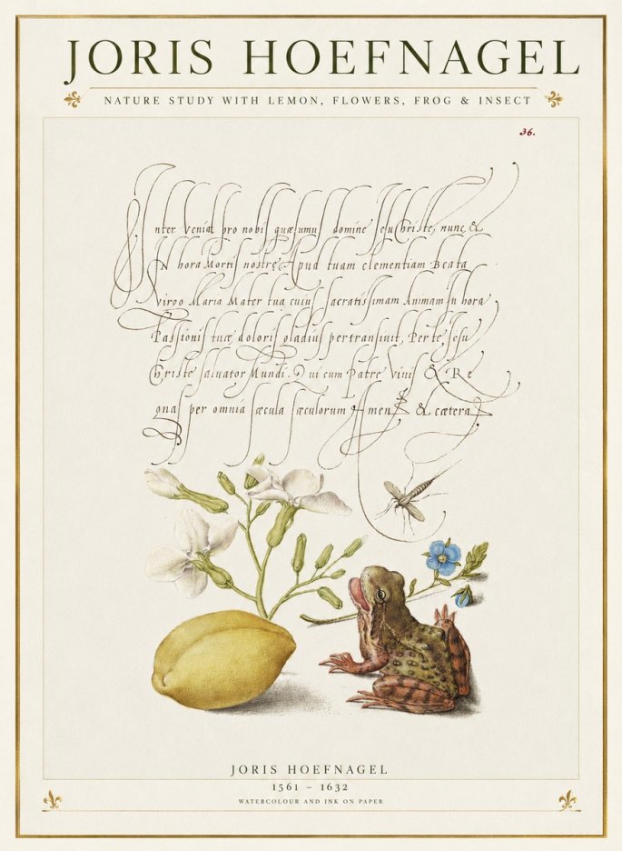 Joris Hoefnagel Nature Study with Lemon, Flowers, Frog & Insect No1 - Póster