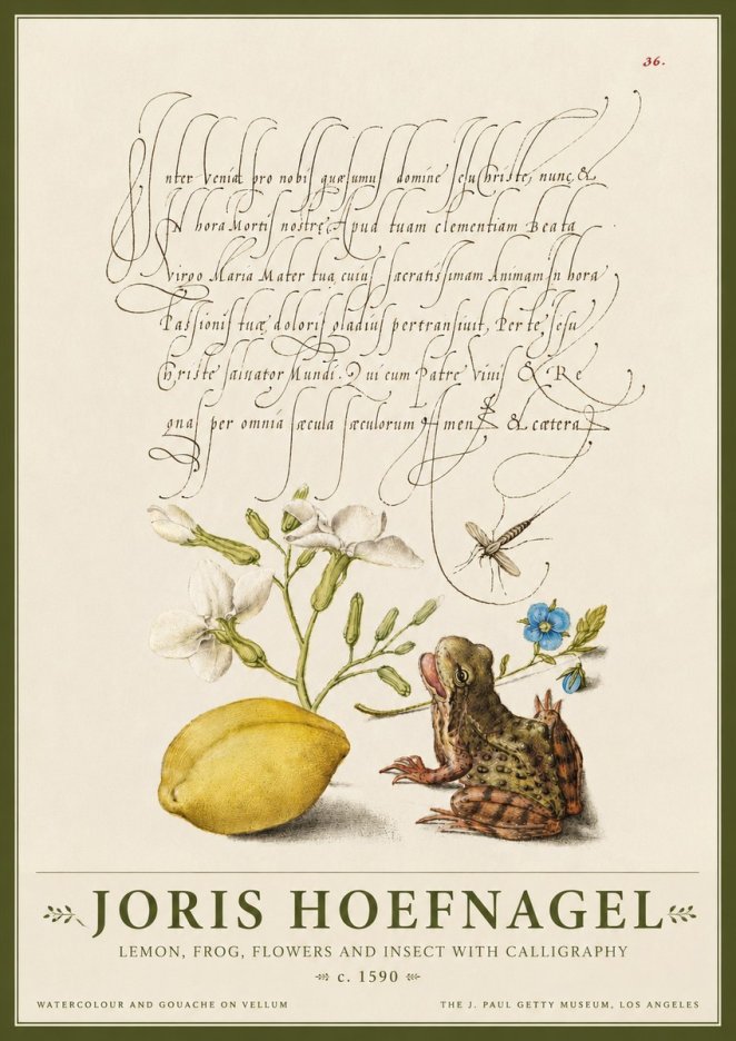 Joris Hoefnagel Nature Study with Lemon, Flowers, Frog & Insect No4 - Póster
