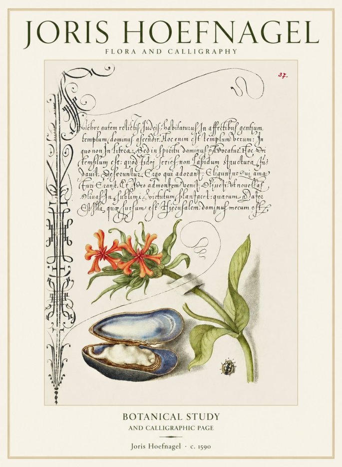 Joris Hoefnagel Botanical Study and Calligraphic Page No1 - Póster