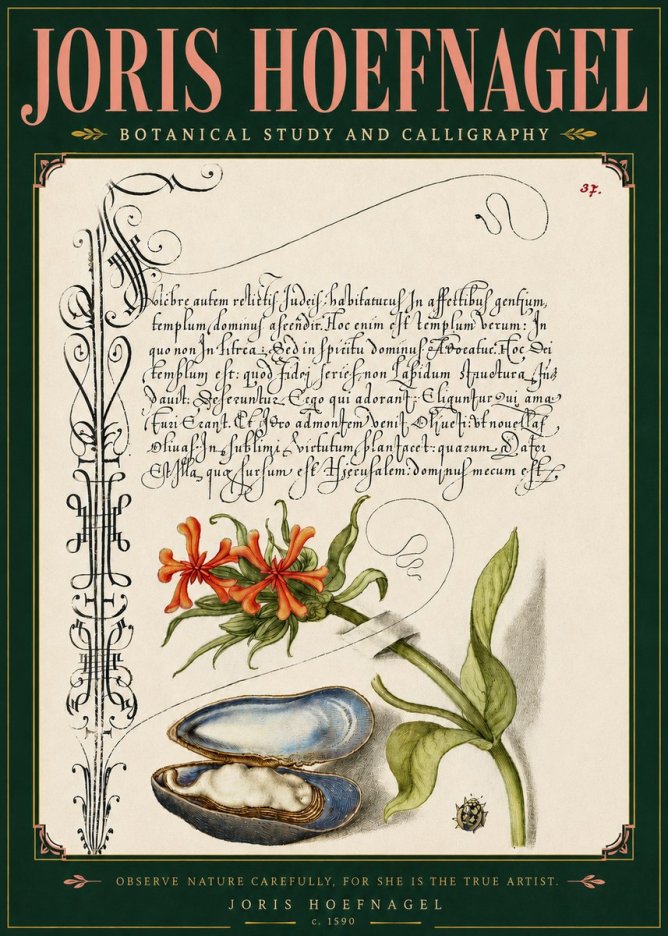 Joris Hoefnagel Botanical Study and Calligraphic Page No5 - Póster