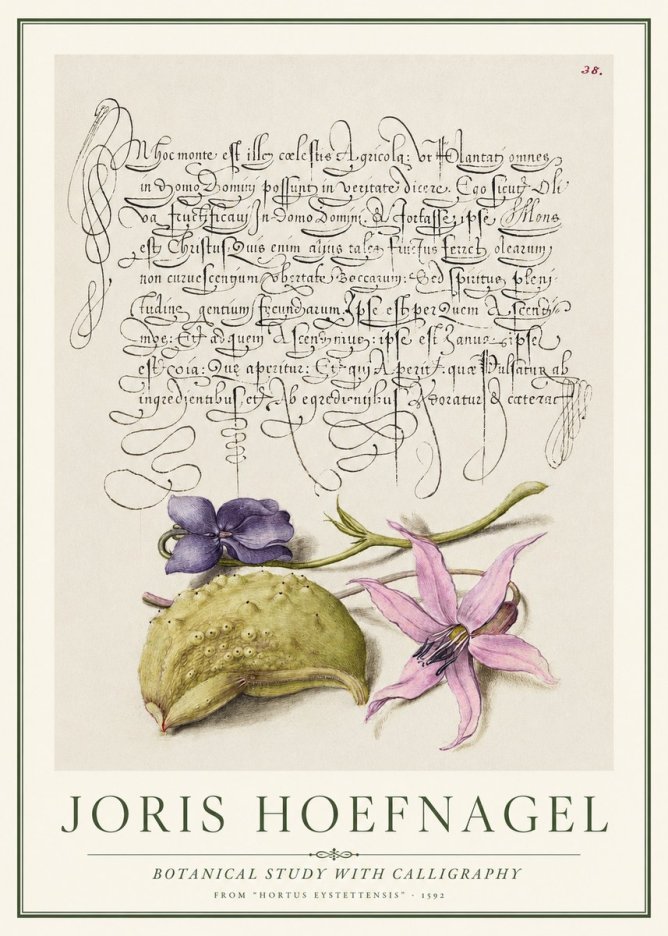 Joris Hoefnagel Botanical Study with Calligraphy I No1 - Póster
