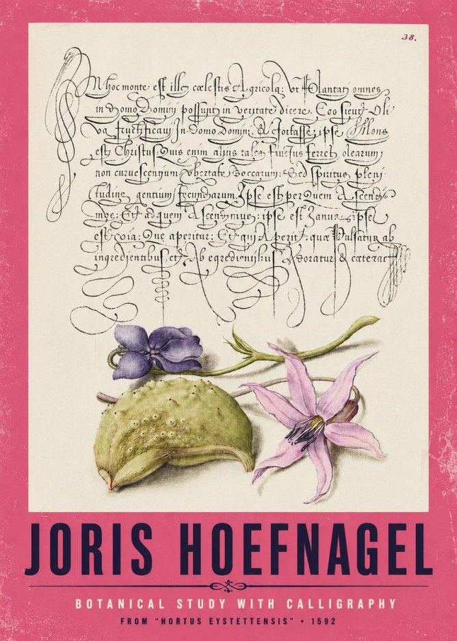 Joris Hoefnagel Botanical Study with Calligraphy I No2 - Póster