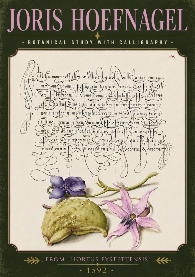 Joris Hoefnagel Botanical Study with Calligraphy I No5 - Póster
