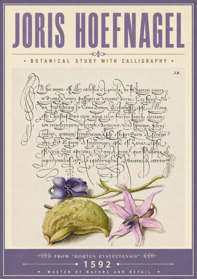 Joris Hoefnagel Botanical Study with Calligraphy I No6 - Póster