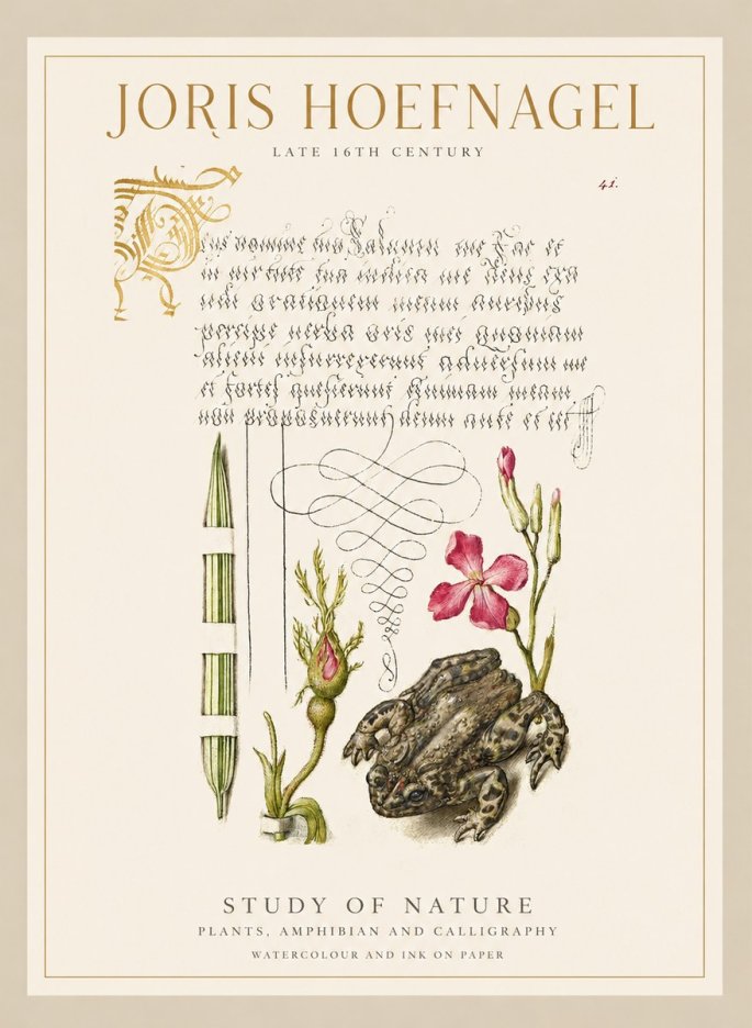 Joris Hoefnagel Study of Nature I No1 - Póster