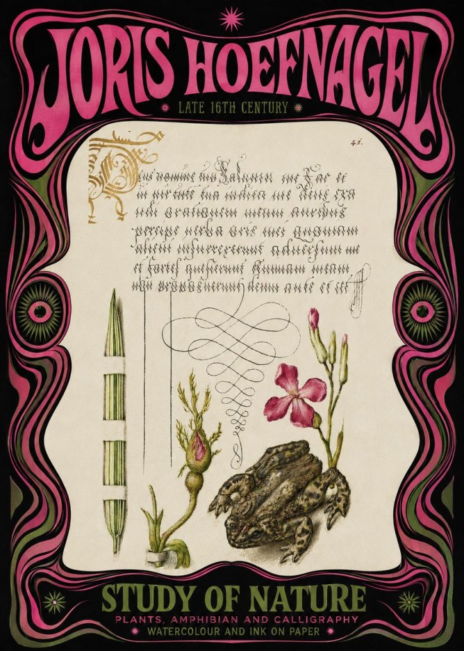 Joris Hoefnagel Study of Nature I No3 - Póster
