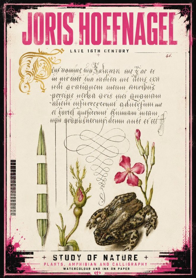 Joris Hoefnagel Study of Nature I No4 - Póster