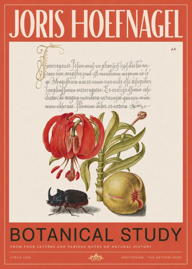 Joris Hoefnagel Botanical Study II No2 - Póster