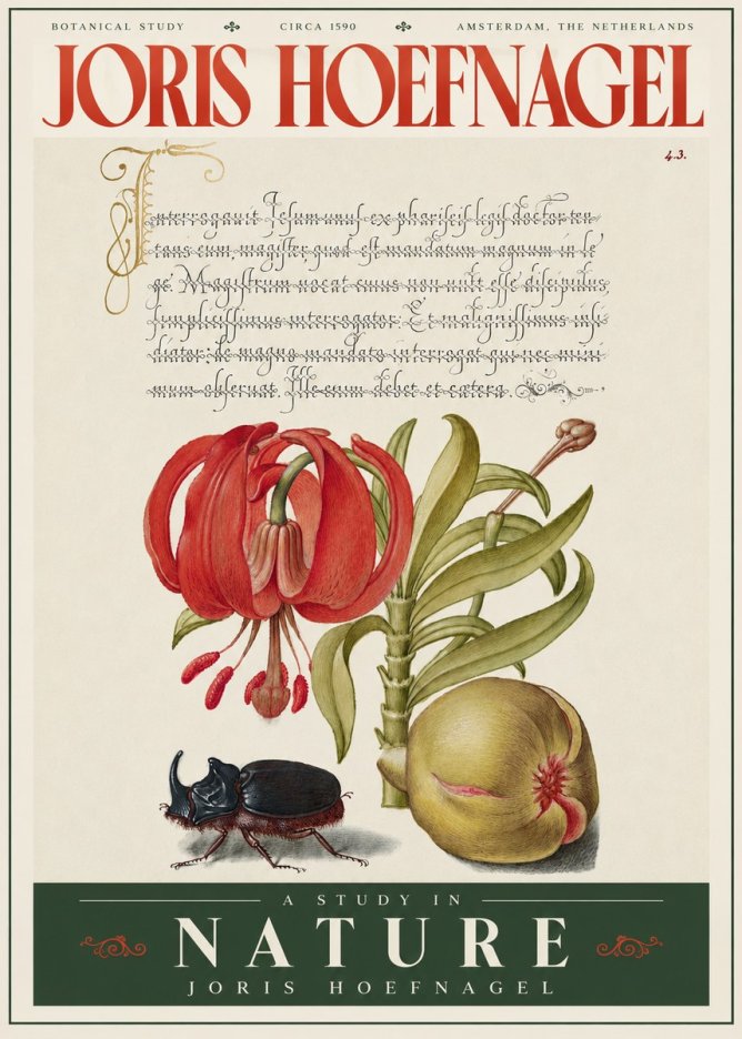 Joris Hoefnagel Botanical Study II No4 - Póster