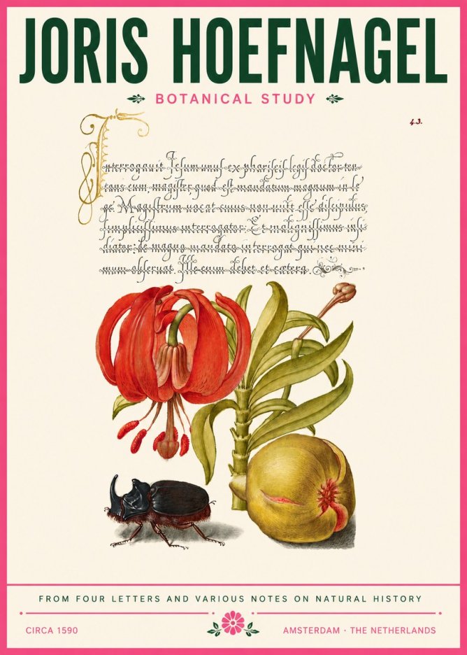Joris Hoefnagel Botanical Study II No6 - Póster