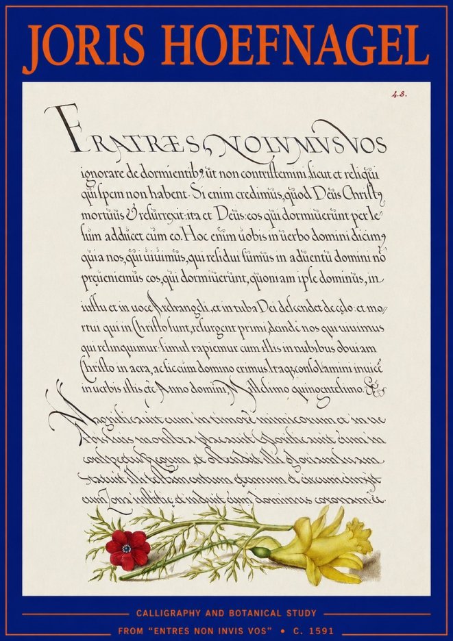 Joris Hoefnagel Calligraphy and Botanical Study I No3 - Póster