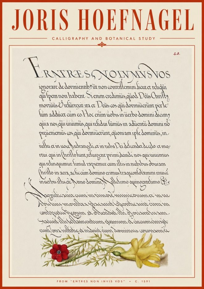 Joris Hoefnagel Calligraphy and Botanical Study I No6 - Póster