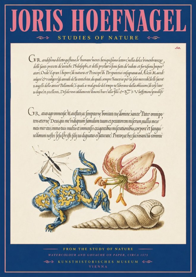 Joris Hoefnagel From the Study of Nature No2 - Póster