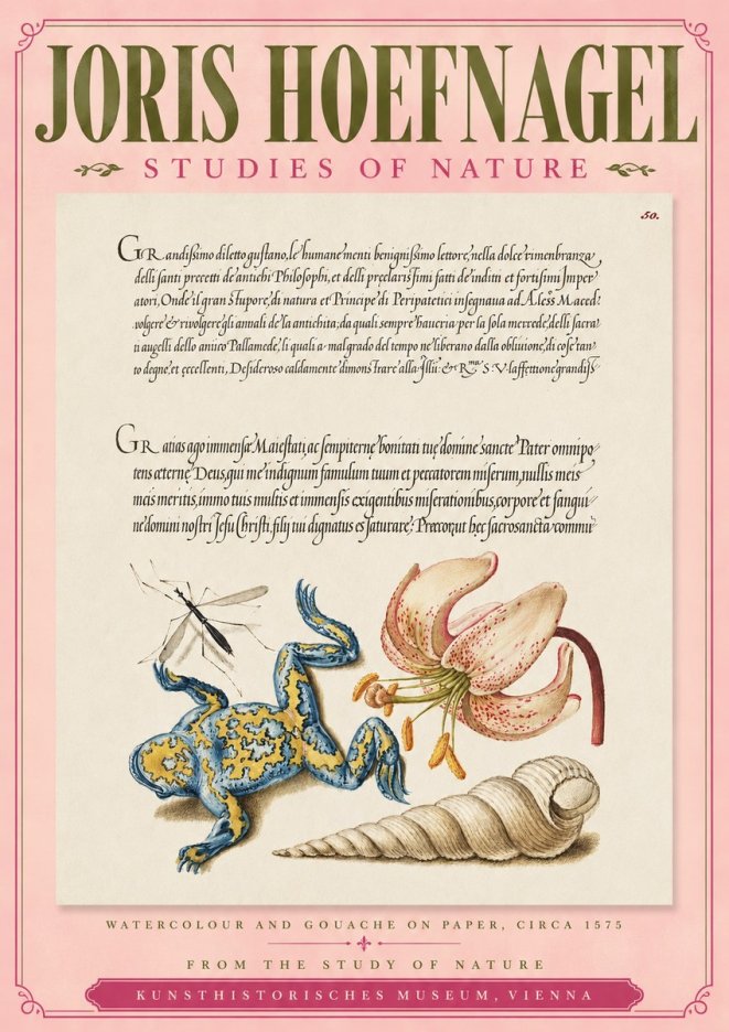 Joris Hoefnagel From the Study of Nature No3 - Póster