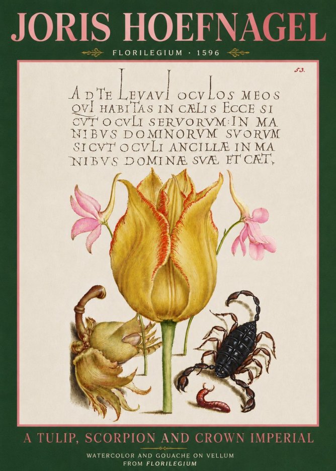 Joris Hoefnagel A Tulip, Scorpion and Crown Imperial No3 - Póster