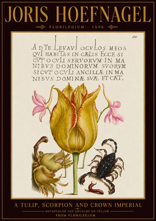 Joris Hoefnagel A Tulip, Scorpion and Crown Imperial No5 - Póster