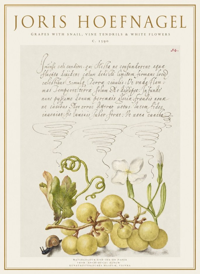 Joris Hoefnagel Grapes with Snail, Vine Tendrils & White Flowers No1 - Póster