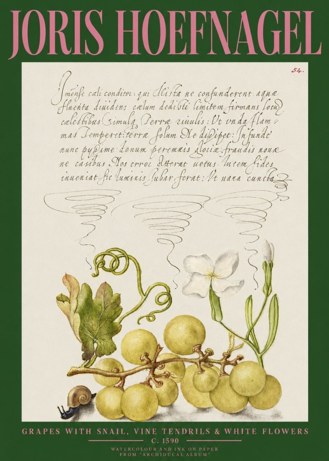 Joris Hoefnagel Grapes with Snail, Vine Tendrils & White Flowers No2 - Póster