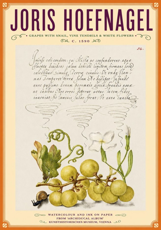 Joris Hoefnagel Grapes with Snail, Vine Tendrils & White Flowers No6 - Póster