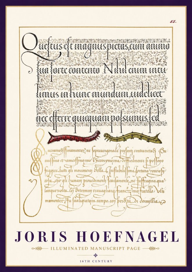 Joris Hoefnagel Illuminated Manuscript Page I No3 - Póster