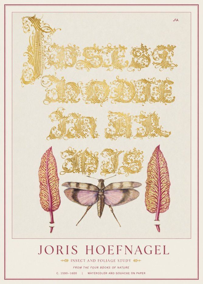 Joris Hoefnagel Insect and Foliage Study No1 - Póster