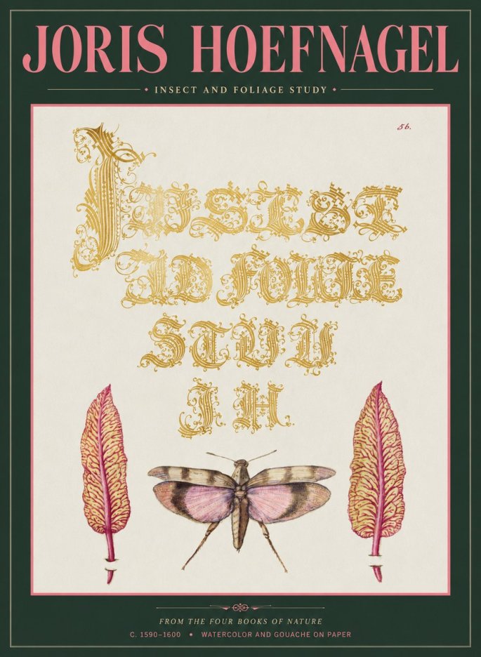 Joris Hoefnagel Insect and Foliage Study No2 - Póster