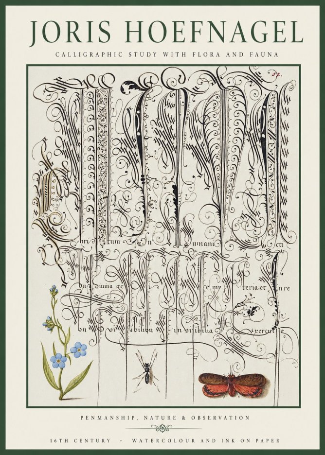 Joris Hoefnagel Calligraphic Study with Flora and Fauna No1 - Póster