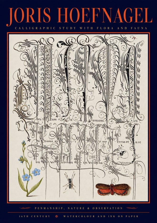 Joris Hoefnagel Calligraphic Study with Flora and Fauna No2 - Póster