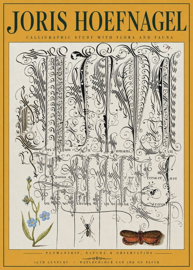 Joris Hoefnagel Calligraphic Study with Flora and Fauna No3 - Póster