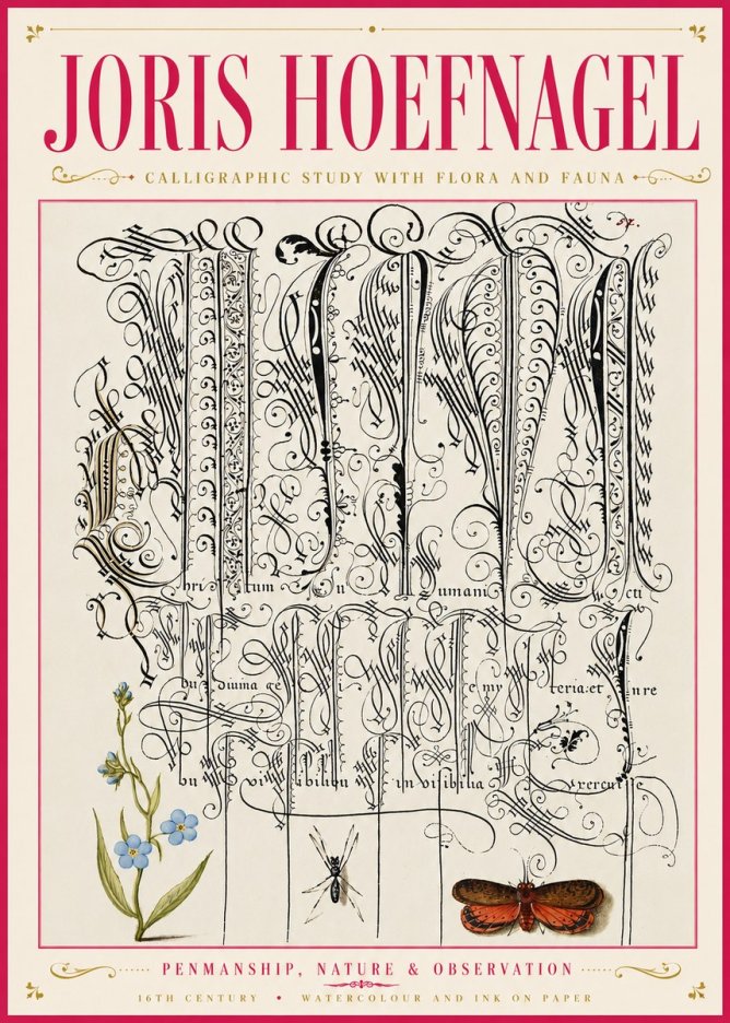 Joris Hoefnagel Calligraphic Study with Flora and Fauna No6 - Póster