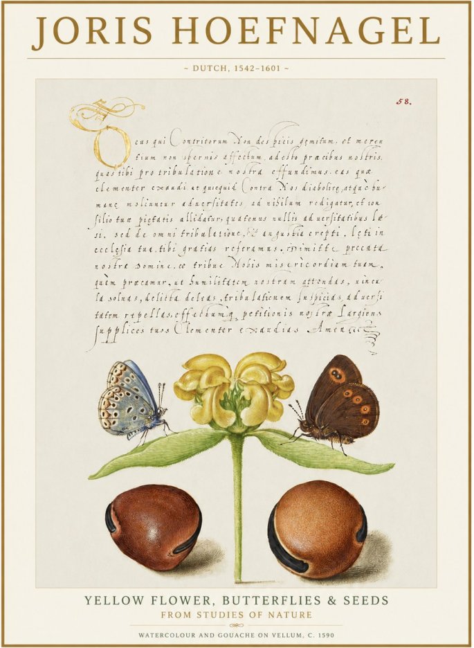 Joris Hoefnagel Yellow Flower, Butterflies & Seeds No1 - Póster