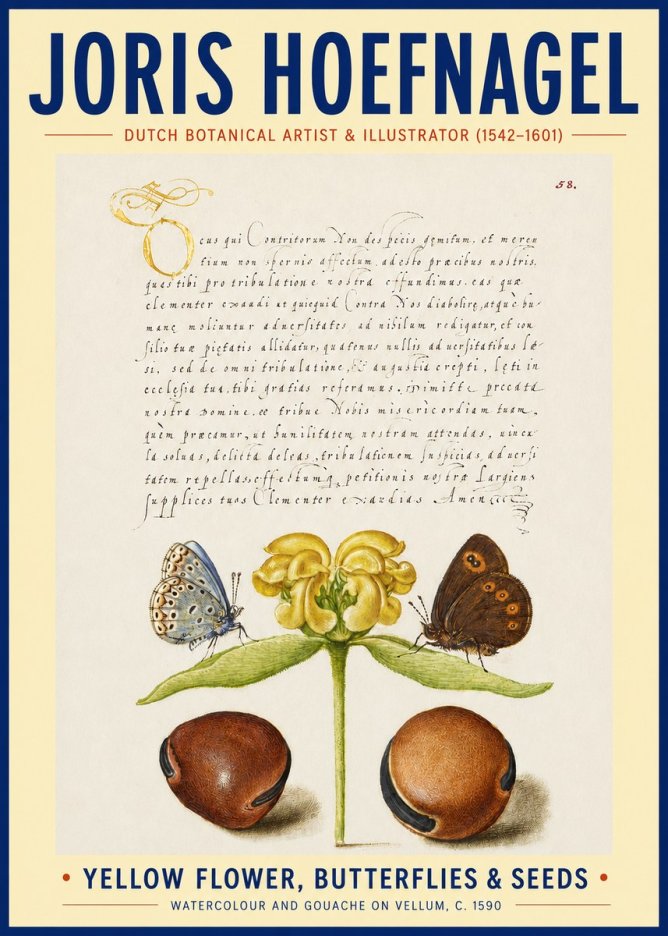 Joris Hoefnagel Yellow Flower, Butterflies & Seeds No3 - Póster
