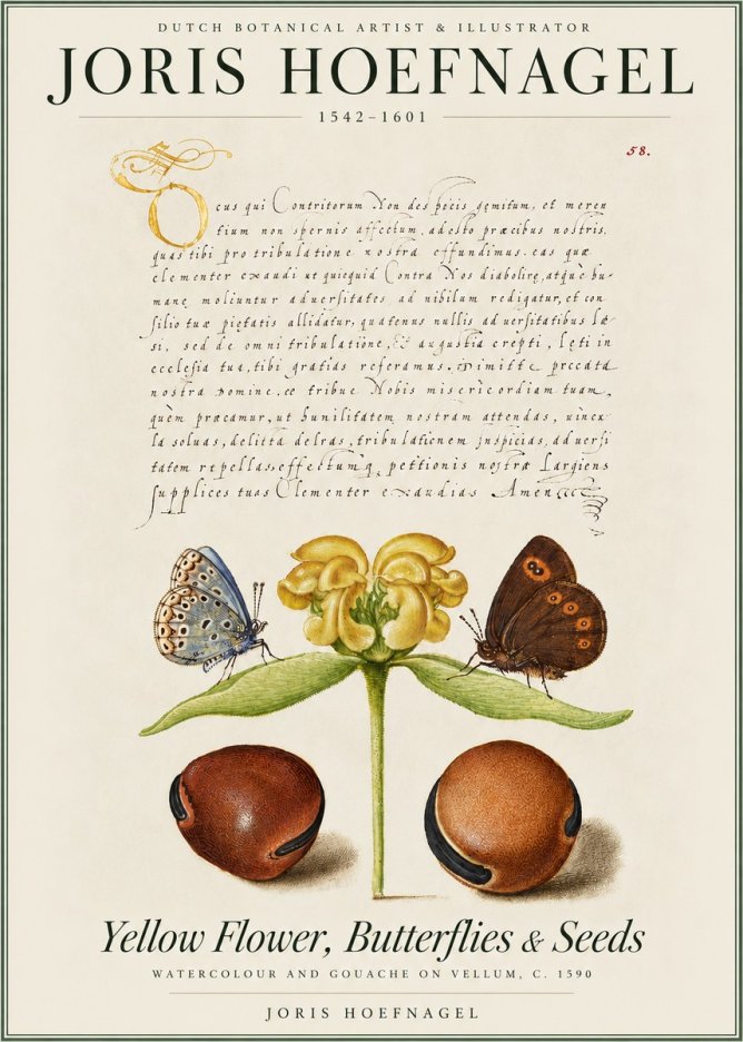 Joris Hoefnagel Yellow Flower, Butterflies & Seeds No4 - Póster