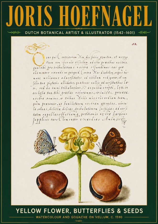 Joris Hoefnagel Yellow Flower, Butterflies & Seeds No5 - Póster