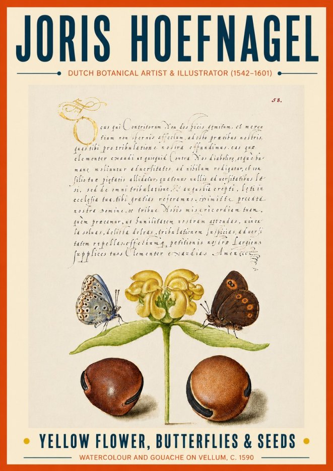 Joris Hoefnagel Yellow Flower, Butterflies & Seeds No6 - Póster