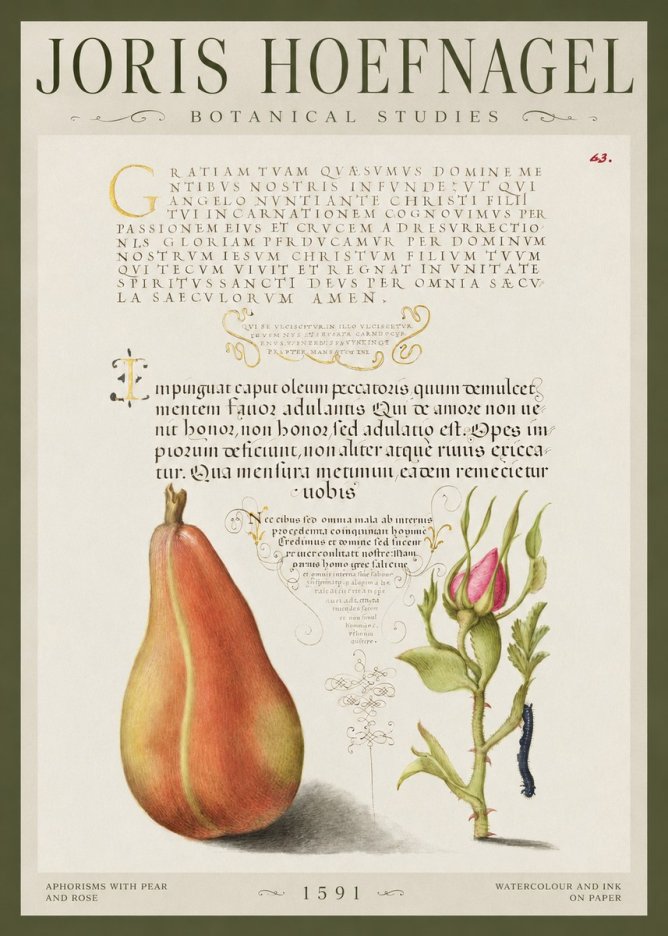 Joris Hoefnagel Aphorisms with Pear and Rose No1 - Póster