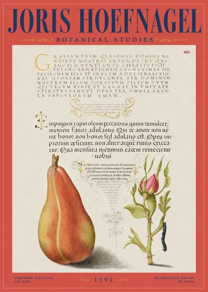 Joris Hoefnagel Aphorisms with Pear and Rose No2 - Póster