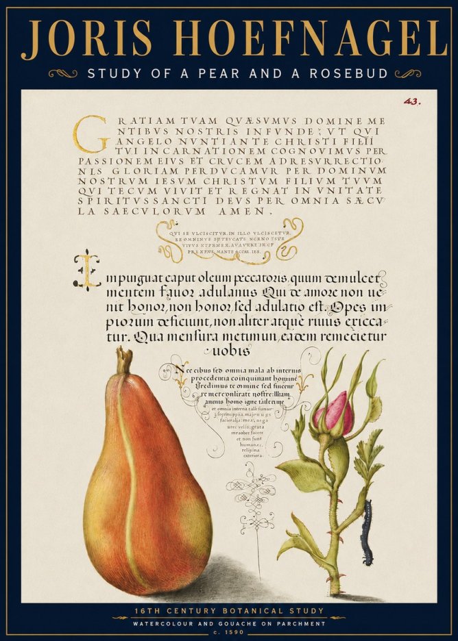 Joris Hoefnagel Aphorisms with Pear and Rose No6 - Póster